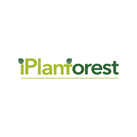 iplant-forest-r3tech